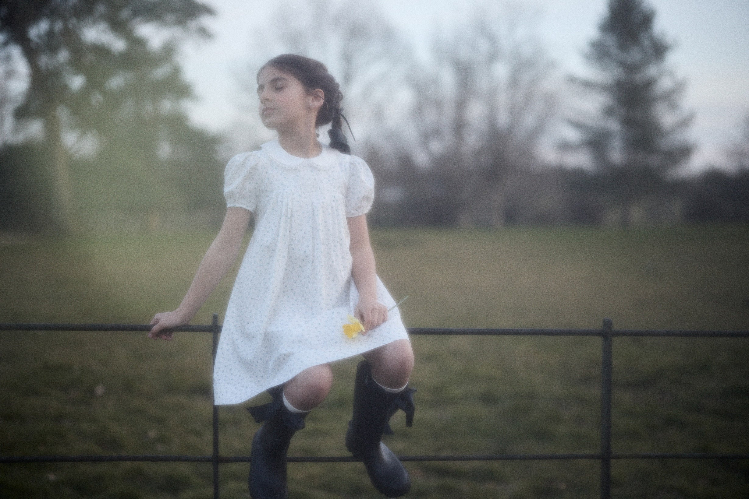 Eloise Dress in Blue Petit Rose - Image 16