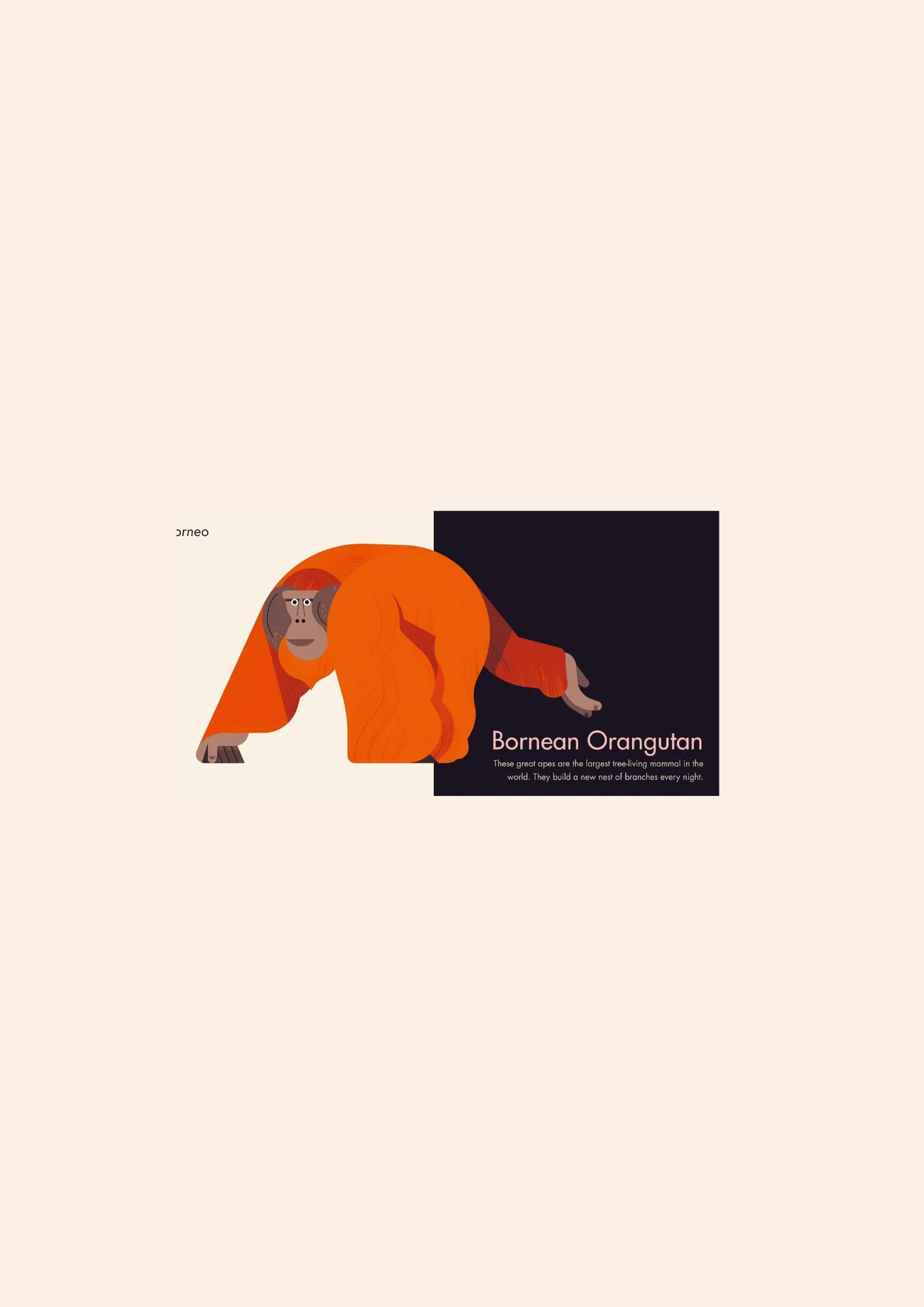 My First Pop-Up : Endangered Animals - Image 3