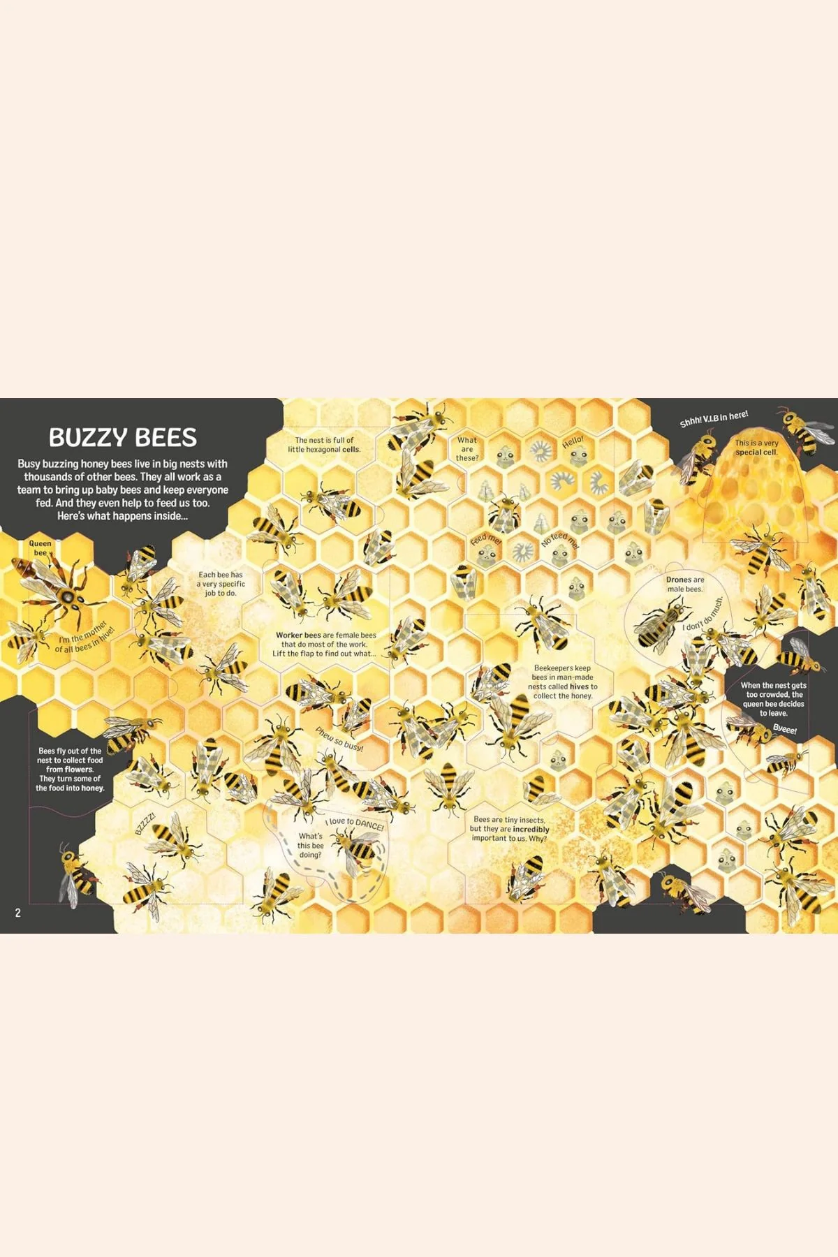 See Inside Bug & Butterflies - Image 2